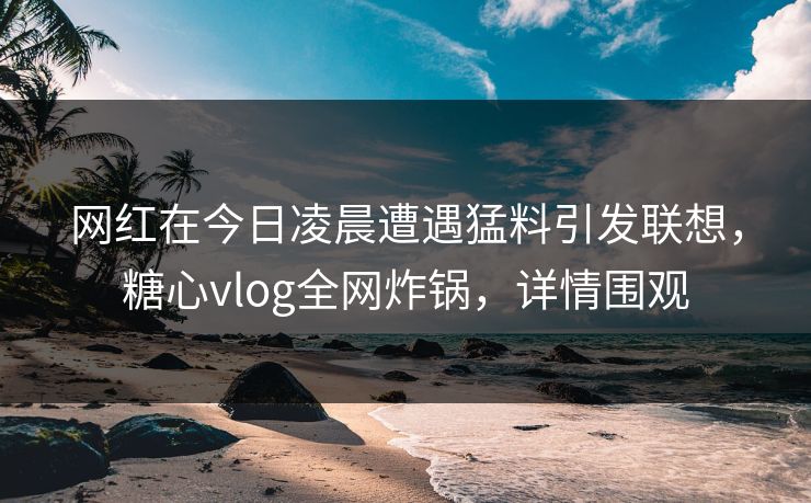 网红在今日凌晨遭遇猛料引发联想，糖心vlog全网炸锅，详情围观