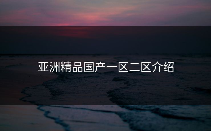 亚洲精品国产一区二区介绍